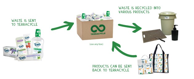 Terra Cycle Process Icon