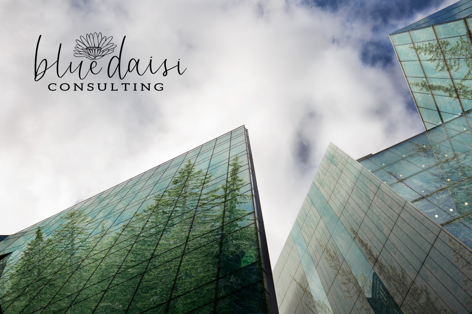 Blue Daisi Consulting